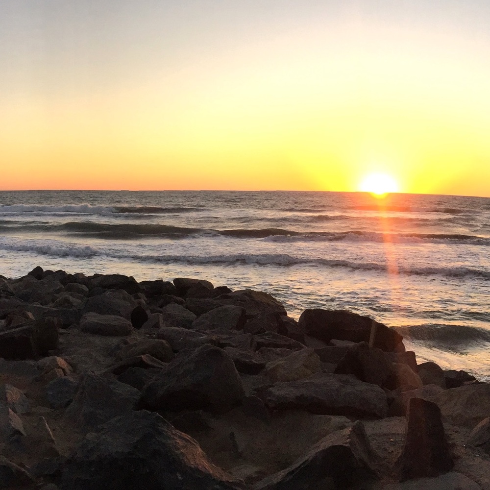 Meet your Posher, Lilah